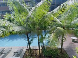 Royalgreen (D10), Condominium #466955481